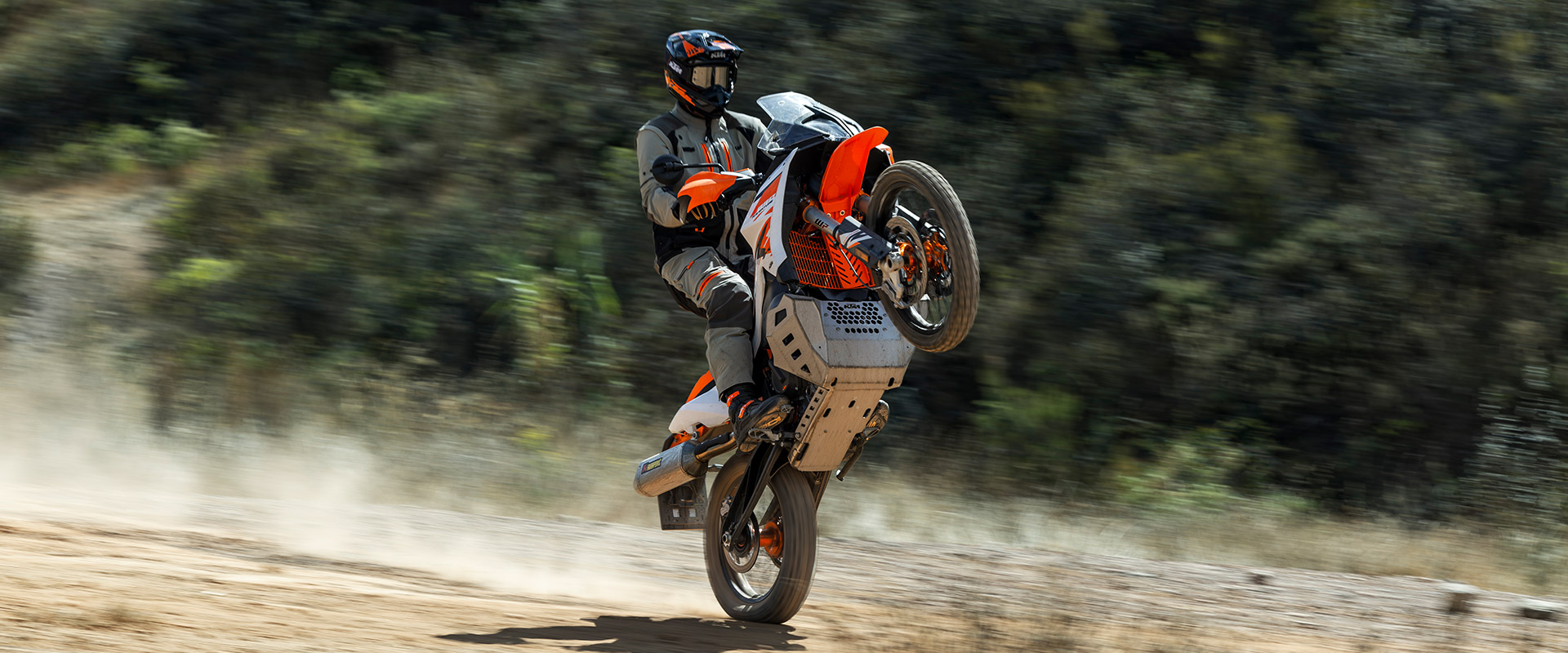 2024 KTM 890 ADVENTURE R detail