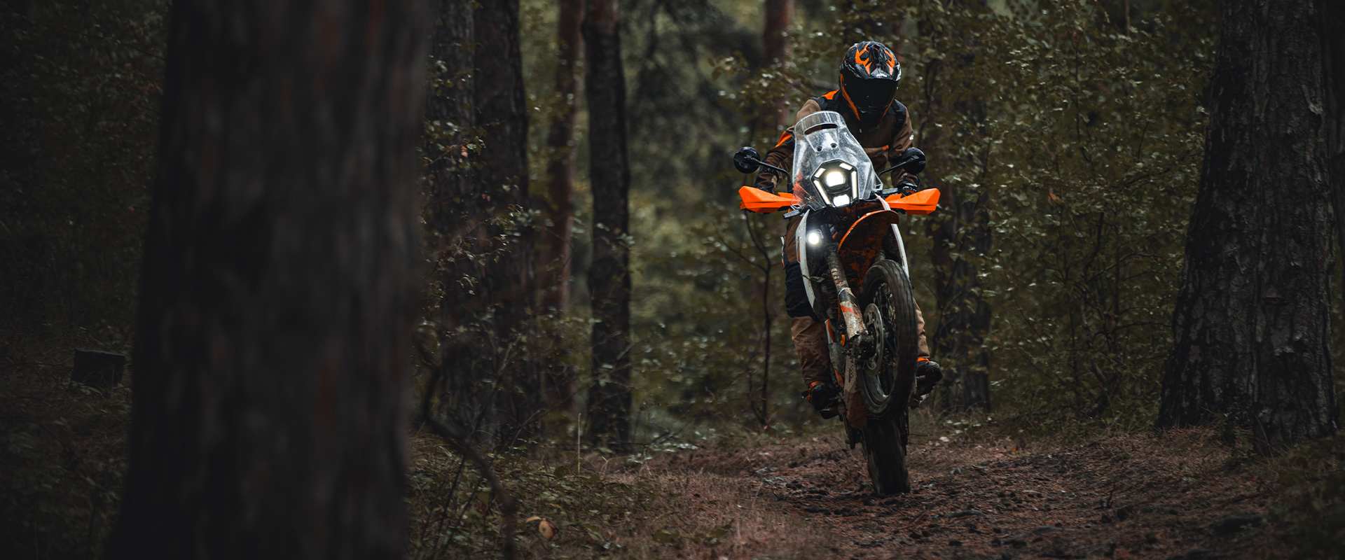 2025 KTM 390 ADVENTURE R action